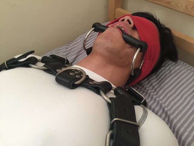A man lies on a bed wearing a leather harness, blindfold, and a gag.
